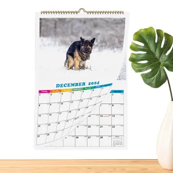 Câinele Caca Calendar 2024 Câini Caca In Locuri Frumoase 2024 Calendar Câine Amuzant Calendar Gag Cadouri Caca De Câine Calendar De Perete