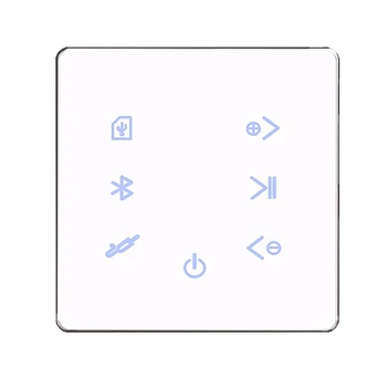 Bluetooth Amplificator în Perete USB Card SD Panou de Muzică Smart Home Fundal Sistem Audio Stereo Hotel Restaurant(Alb)